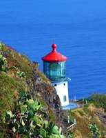 Oahu Hawaii USA 88